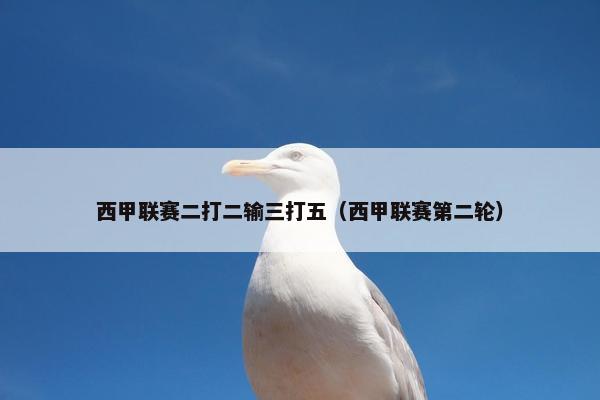 西甲联赛二打二输三打五（西甲联赛第二轮）