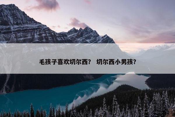 毛孩子喜欢切尔西？ 切尔西小男孩？