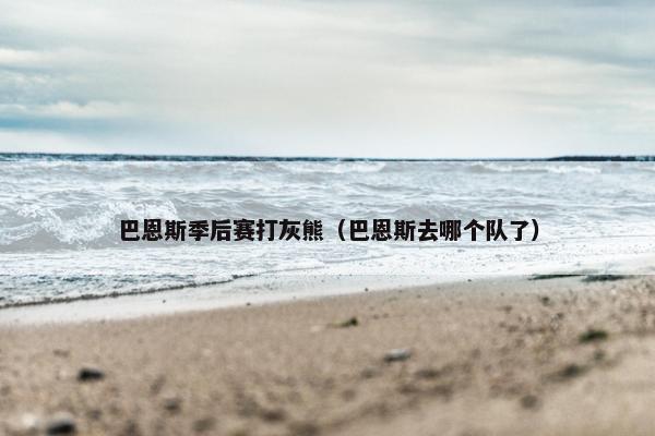 巴恩斯季后赛打灰熊（巴恩斯去哪个队了）