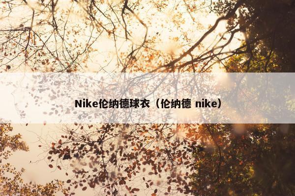 Nike伦纳德球衣（伦纳德 nike）