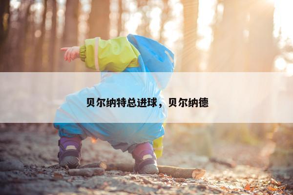 贝尔纳特总进球，贝尔纳德