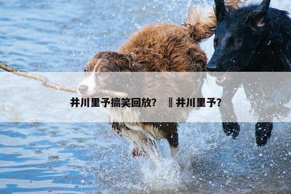 井川里予搞笑回放？  井川里予？