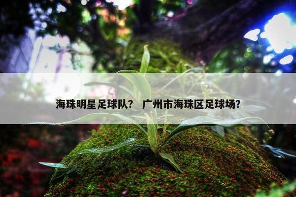 海珠明星足球队？ 广州市海珠区足球场？