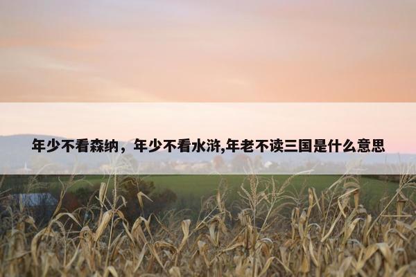 年少不看森纳，年少不看水浒,年老不读三国是什么意思