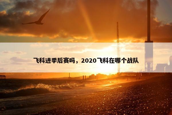 飞科进季后赛吗，2020飞科在哪个战队