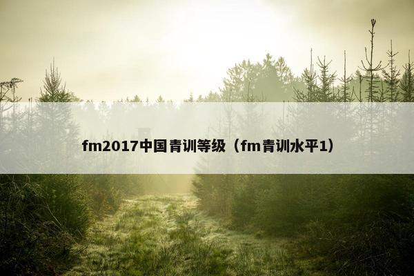 fm2017中国青训等级（fm青训水平1）