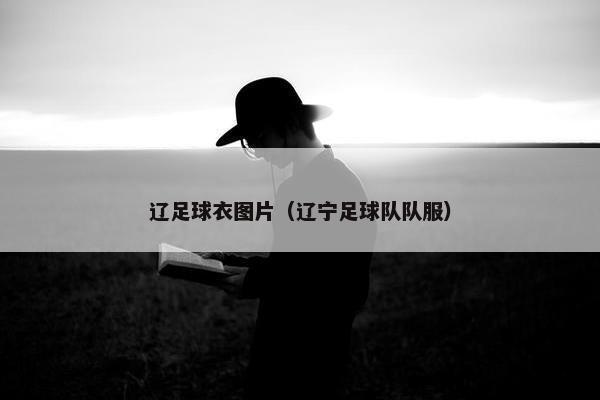 辽足球衣图片（辽宁足球队队服）