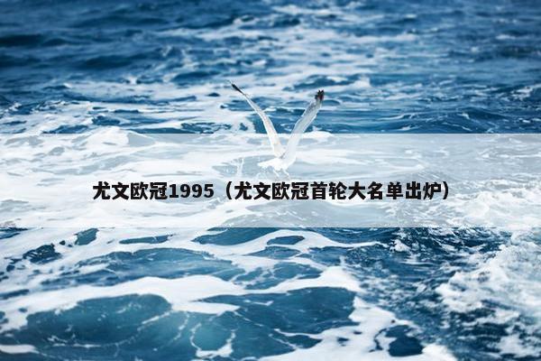 尤文欧冠1995（尤文欧冠首轮大名单出炉）