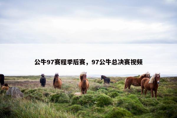 公牛97赛程季后赛，97公牛总决赛视频