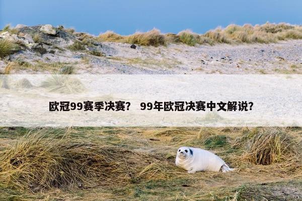 欧冠99赛季决赛？ 99年欧冠决赛中文解说？