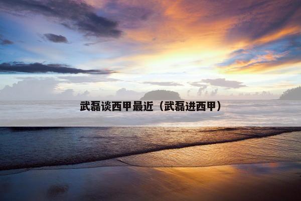 武磊谈西甲最近（武磊进西甲）