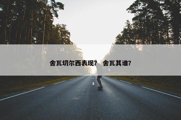 舍瓦切尔西表现？ 舍瓦其谁？