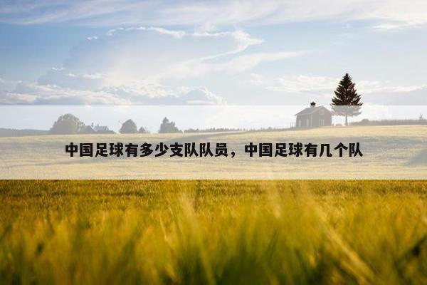 中国足球有多少支队队员，中国足球有几个队