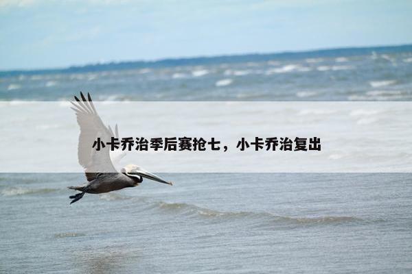 小卡乔治季后赛抢七，小卡乔治复出