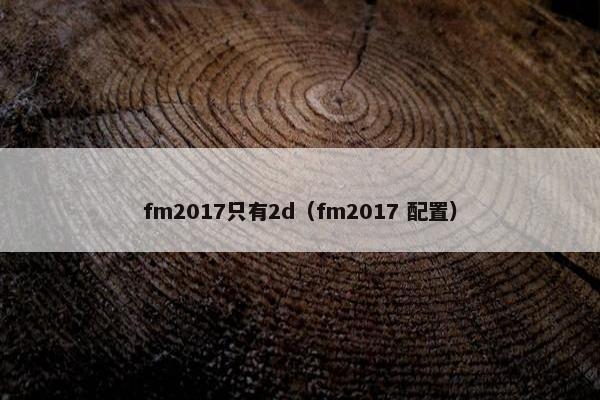 fm2017只有2d（fm2017 配置）
