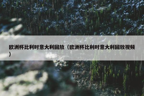 欧洲杯比利时意大利回放（欧洲杯比利时意大利回放视频）