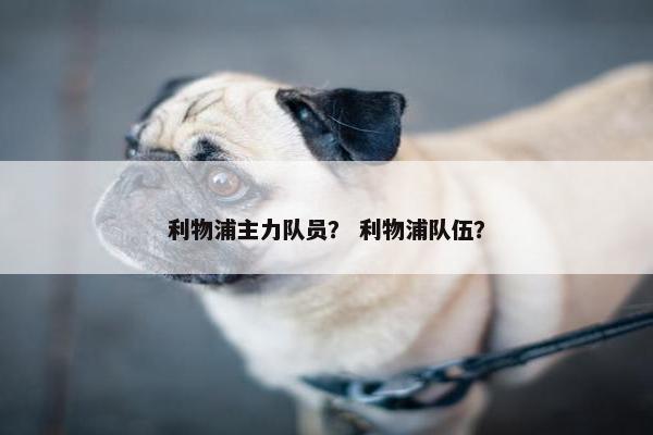 利物浦主力队员？ 利物浦队伍？