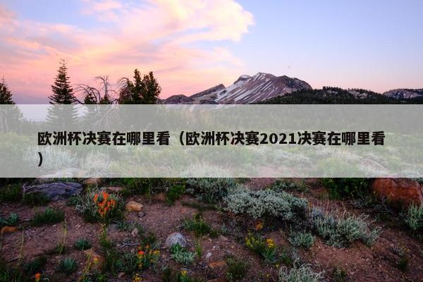 欧洲杯决赛在哪里看（欧洲杯决赛2021决赛在哪里看）