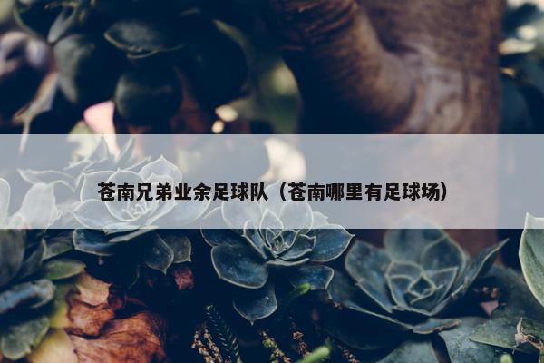 苍南兄弟业余足球队（苍南哪里有足球场）