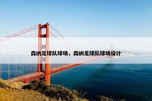 森纳足球队球场，森纳足球队球场设计