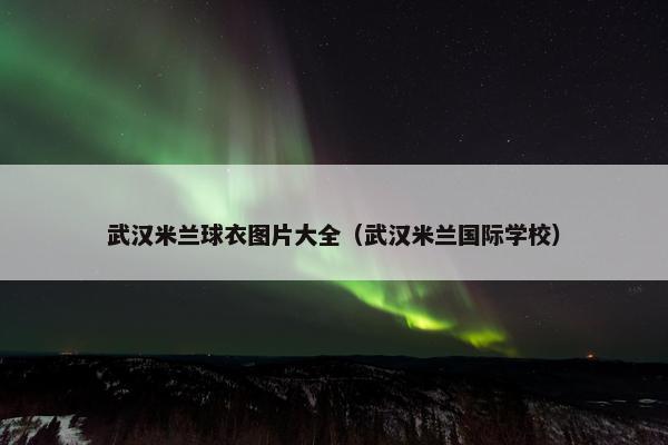 武汉米兰球衣图片大全（武汉米兰国际学校）