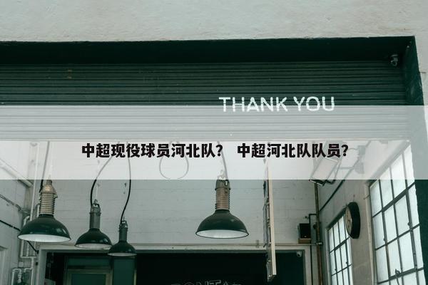 中超现役球员河北队？ 中超河北队队员？