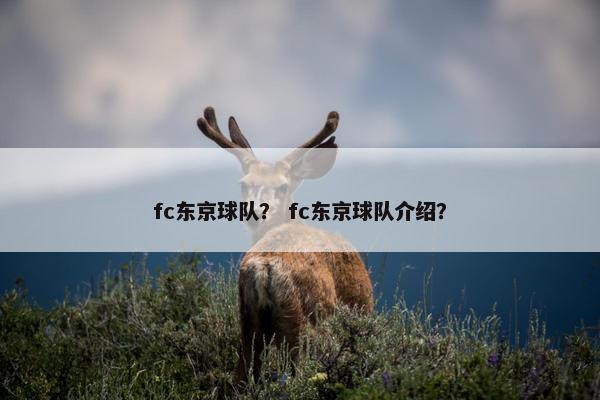 fc东京球队？ fc东京球队介绍？