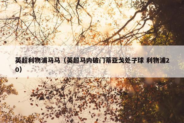英超利物浦马马（英超马内破门蒂亚戈处子球 利物浦20）