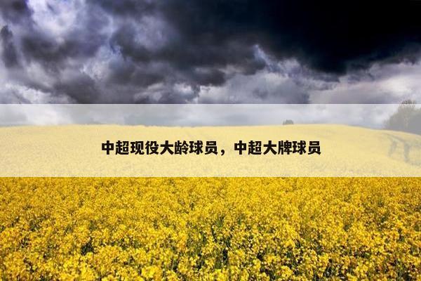 中超现役大龄球员，中超大牌球员