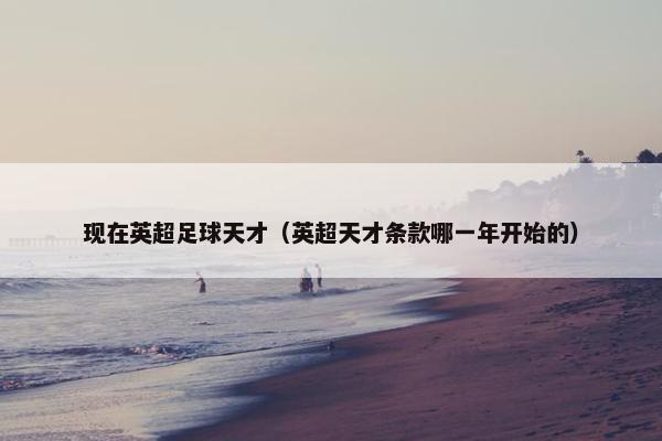 现在英超足球天才（英超天才条款哪一年开始的）