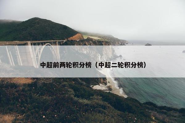 中超前两轮积分榜（中超二轮积分榜）
