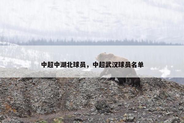 中超中湖北球员，中超武汉球员名单