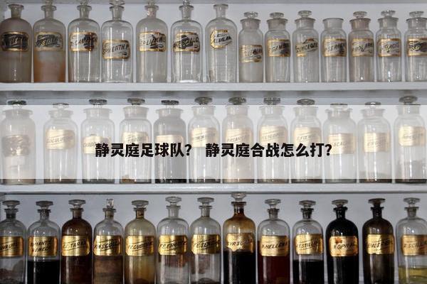 静灵庭足球队？ 静灵庭合战怎么打？
