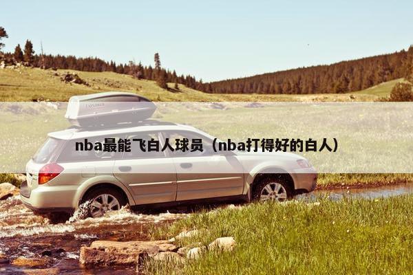 nba最能飞白人球员（nba打得好的白人）