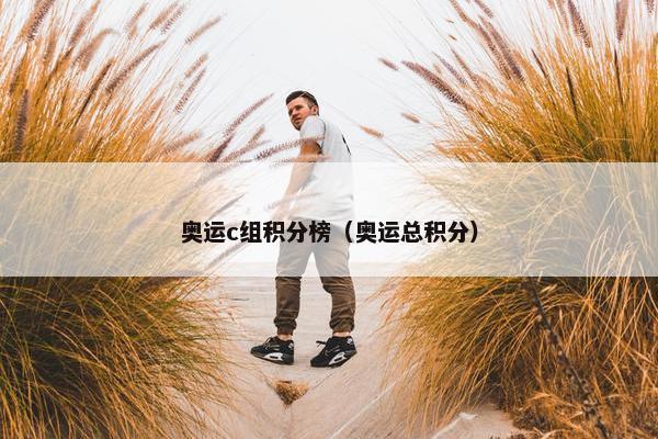 奥运c组积分榜（奥运总积分）