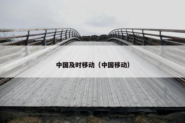 中国及时移动（中国移动）