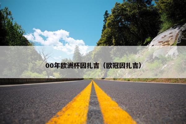 00年欧洲杯因扎吉（欧冠因扎吉）