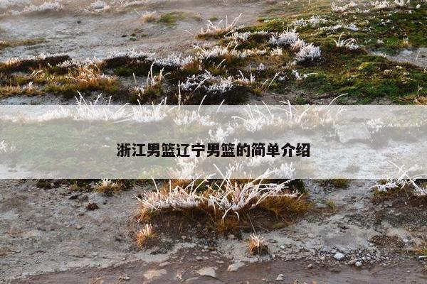 浙江男篮辽宁男篮的简单介绍