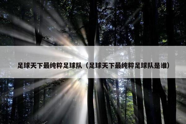足球天下最纯粹足球队（足球天下最纯粹足球队是谁）