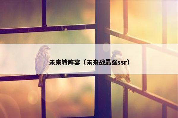 未来转阵容（未来战最强ssr）
