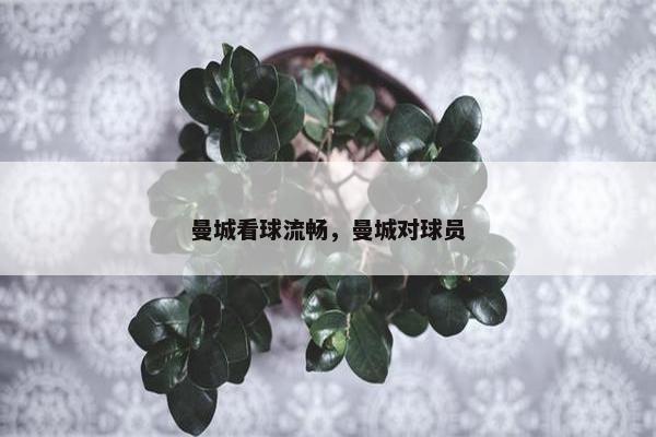 曼城看球流畅，曼城对球员