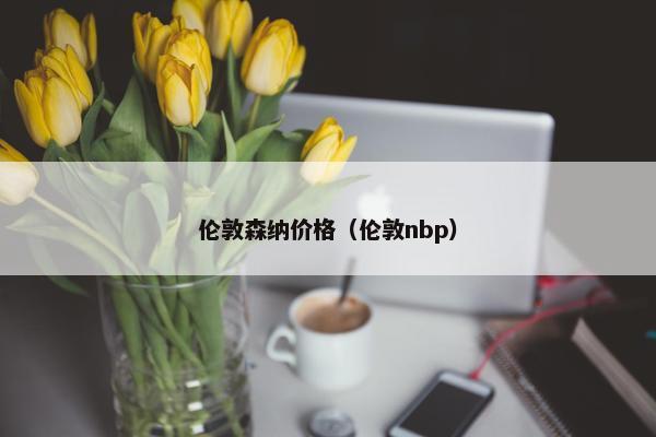 伦敦森纳价格（伦敦nbp）