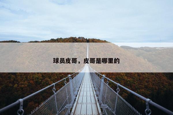 球员皮哥，皮哥是哪里的