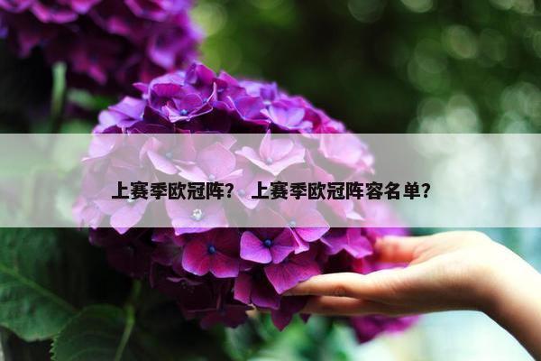 上赛季欧冠阵？ 上赛季欧冠阵容名单？