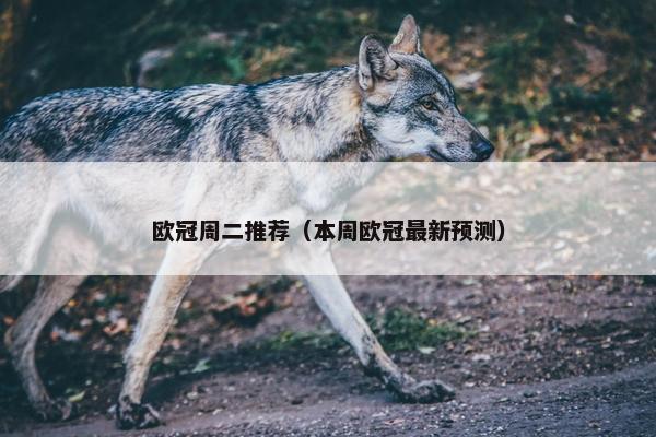 欧冠周二推荐（本周欧冠最新预测）