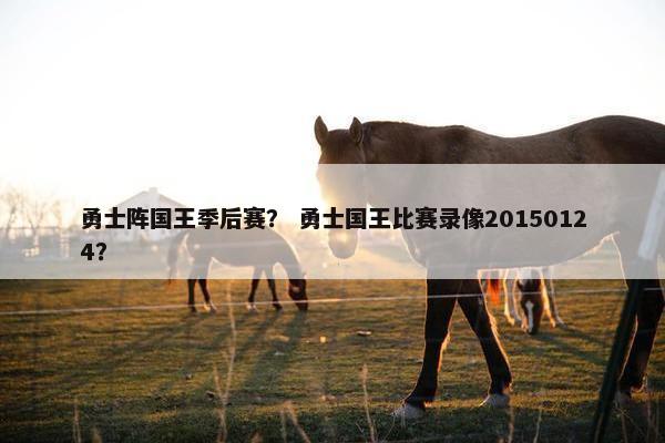 勇士阵国王季后赛？ 勇士国王比赛录像20150124？