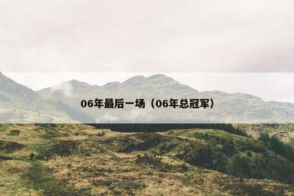 06年最后一场（06年总冠军）