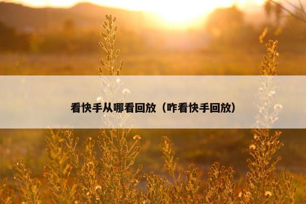 看快手从哪看回放（咋看快手回放）