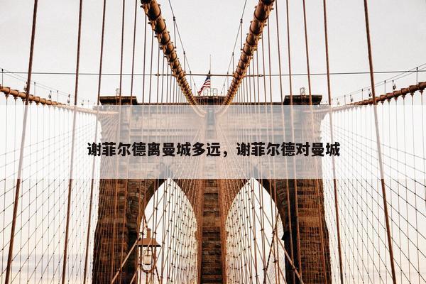 谢菲尔德离曼城多远，谢菲尔德对曼城