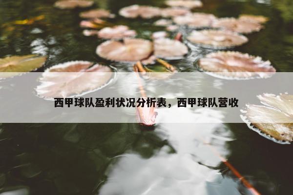 西甲球队盈利状况分析表，西甲球队营收